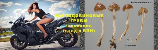 гидропоника Бугульма