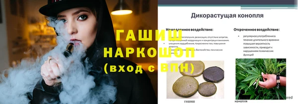 соль ск Бородино