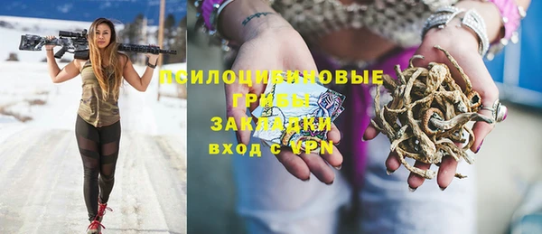 тгк Бронницы