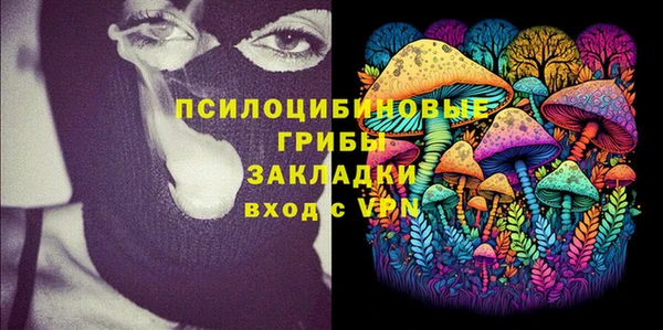 тгк Бронницы