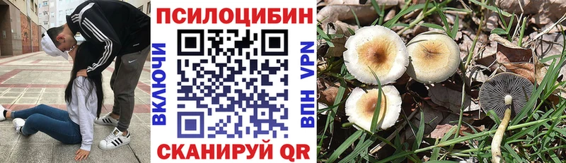 Псилоцибиновые грибы GOLDEN TEACHER  Микунь 